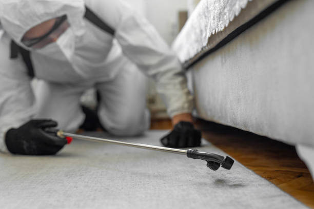 Professional Termite Control technician working in Taylor, AL
